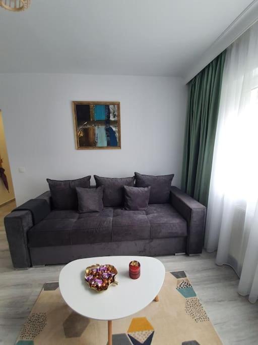 Apartament Ama Sibiu Extérieur photo