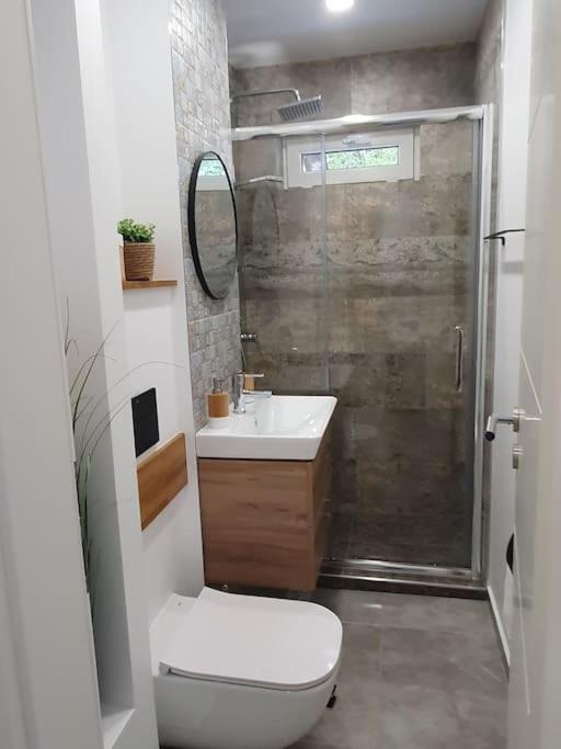 Apartament Ama Sibiu Extérieur photo