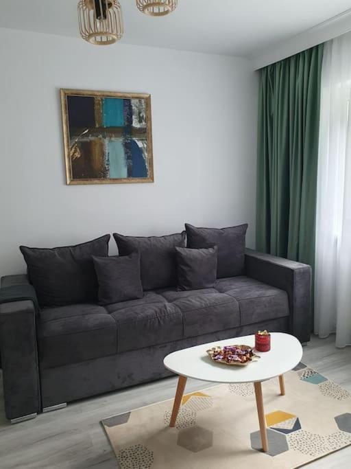 Apartament Ama Sibiu Extérieur photo