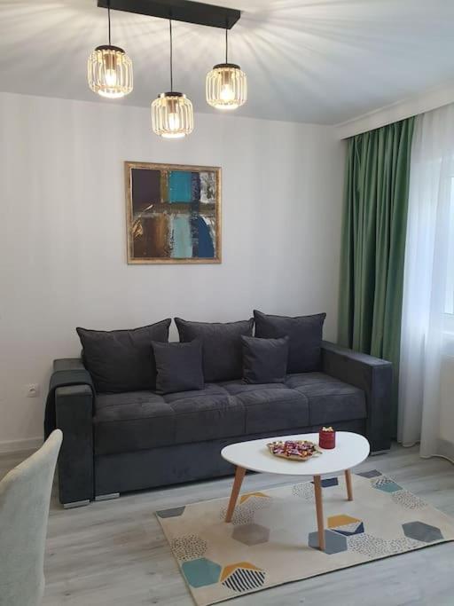 Apartament Ama Sibiu Extérieur photo