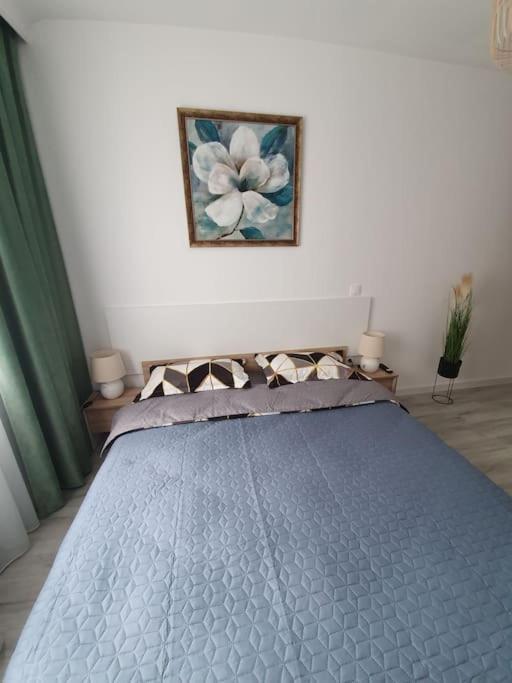 Apartament Ama Sibiu Extérieur photo