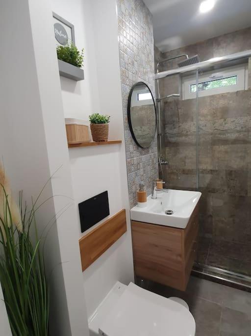 Apartament Ama Sibiu Extérieur photo